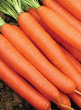 Морковь Несравненная, белый пакет
